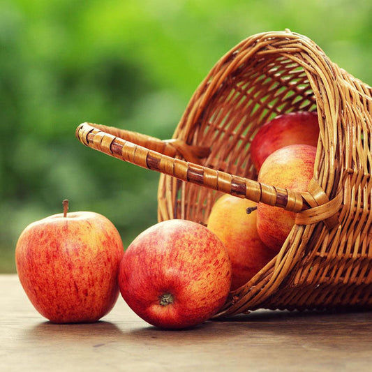 Gala Apple
